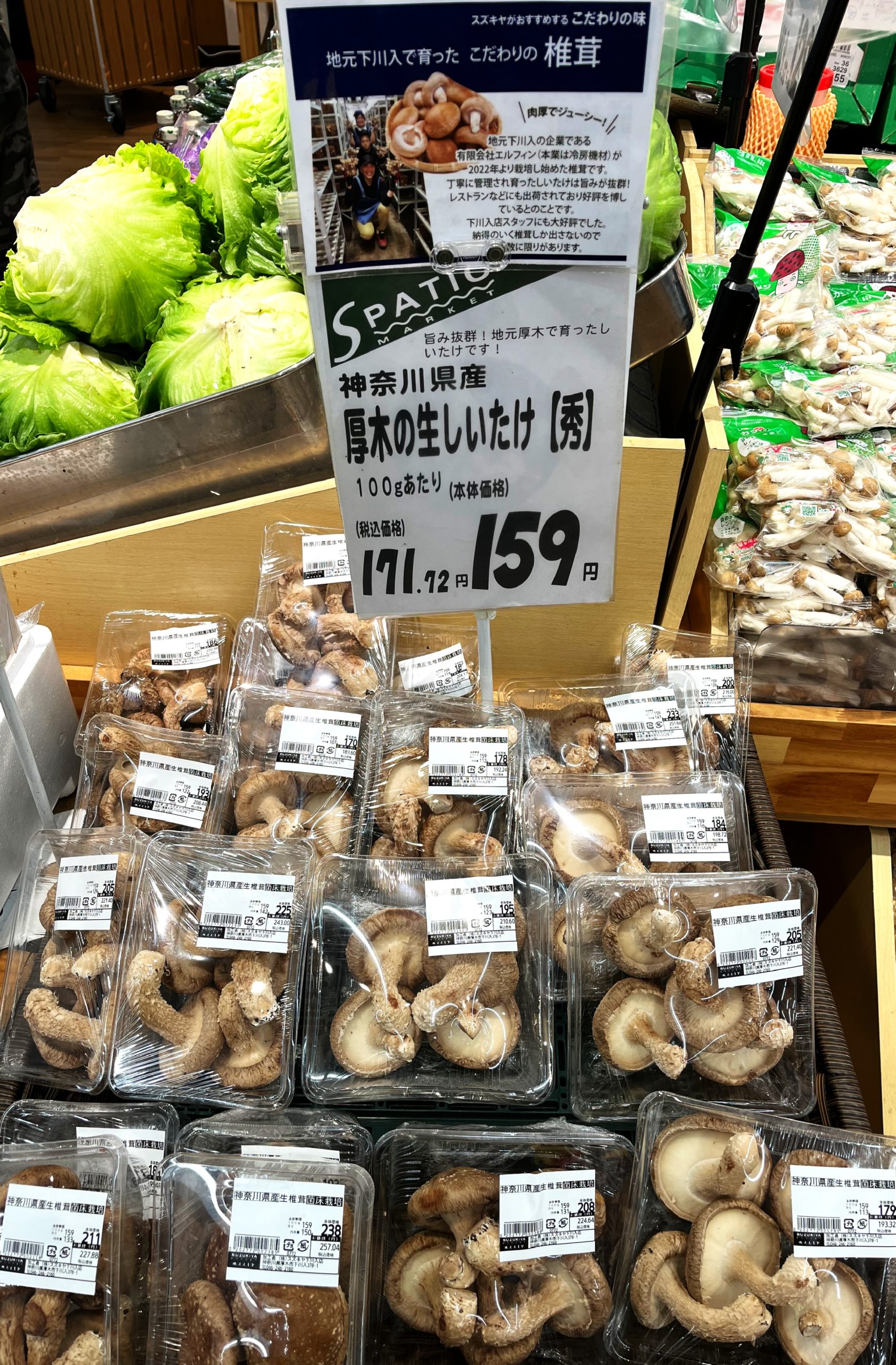 このところ天気予報ばかりが気になりますね